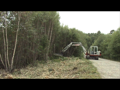 Road side cutting